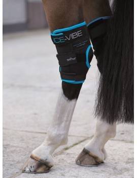 Protectores HORSEWARE de masaje ICE-VIBE corvejón 2