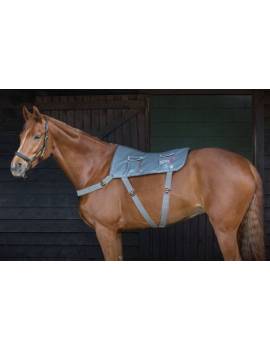 Mantilla de masaje EQUILIBRIUM para espalda del caballo 1