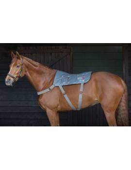 Mantilla de masaje EQUILIBRIUM para espalda del caballo 1