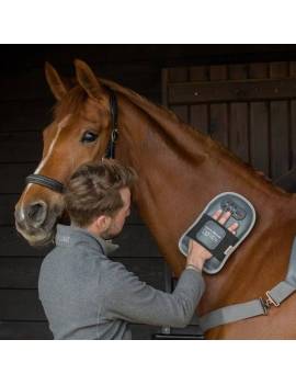 Manopla de masaje para el caballo de EQUILIBRIUM con caballo
